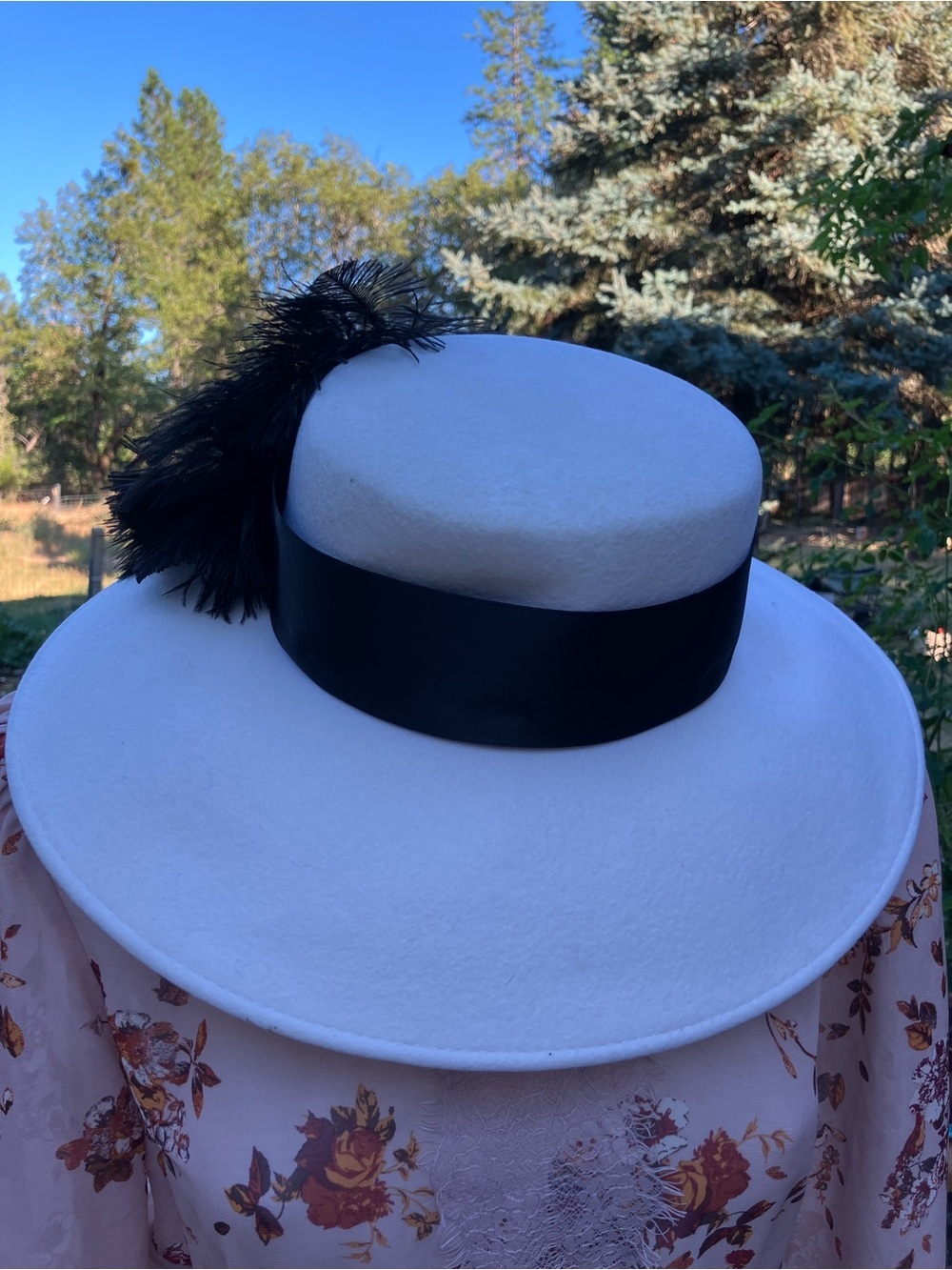 Joe Bill Miller wool brimmed hat with real feathers and ribbon - Picture 3 of 12